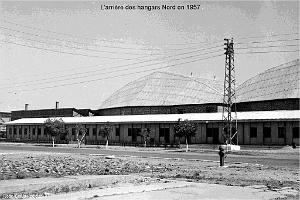 122 - AERODROMES ET BASES 1945-1962-1-ORAN LA SENIA BA 141 (81)